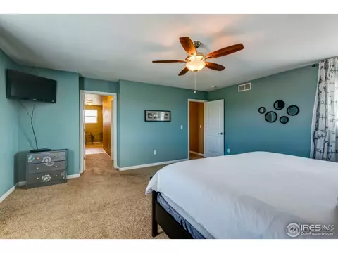 468 Wind River Dr, Windsor, CO 80550 photo 19