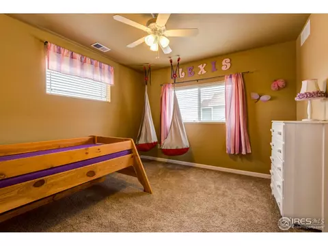 468 Wind River Dr, Windsor, CO 80550 photo 25