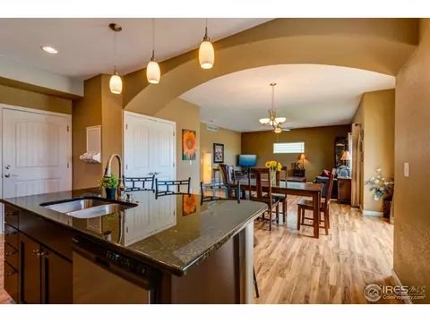 468 Wind River Dr, Windsor, CO 80550 photo 13