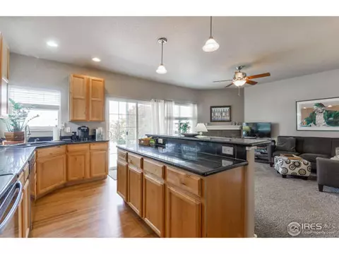 1108 Fairfield Ave, Windsor, CO 80550 photo 15