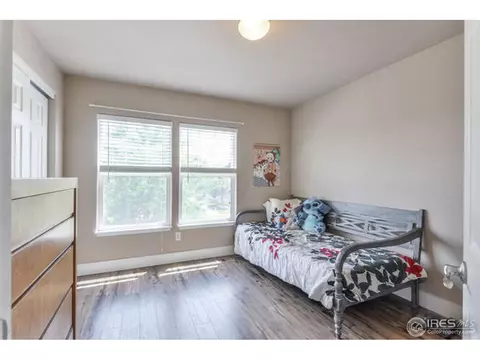 1108 Fairfield Ave, Windsor, CO 80550 photo 25