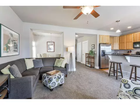 1108 Fairfield Ave, Windsor, CO 80550 photo 8