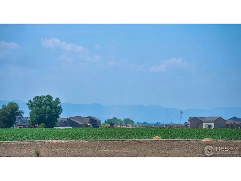 1108 Fairfield Ave, Windsor, CO 80550 photo 40