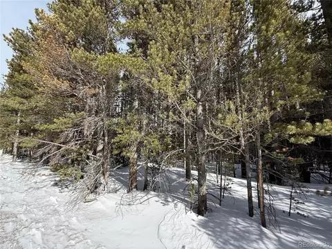 105 Deer Rd, Idaho Springs, CO 80452