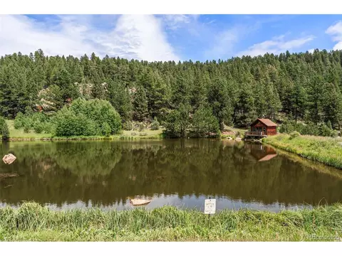 625 Wisp Creek Dr, Bailey, CO 80421 photo 46