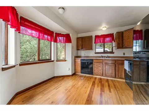 625 Wisp Creek Dr, Bailey, CO 80421 photo 12