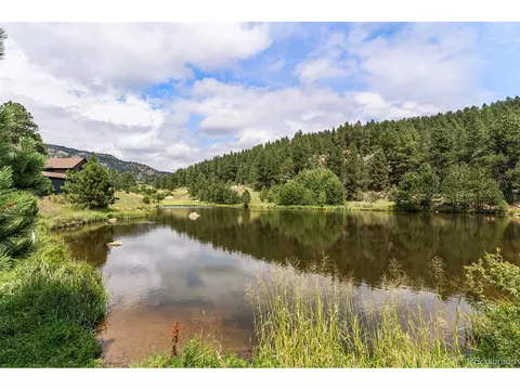 625 Wisp Creek Dr, Bailey, CO 80421 photo 39