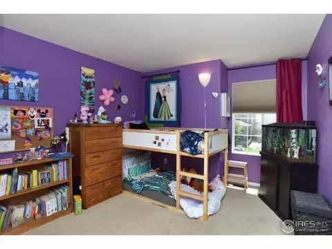 10237 E 113th Ave, Henderson, CO 80640 photo 21