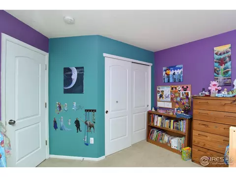 10237 E 113th Ave, Henderson, CO 80640 photo 22