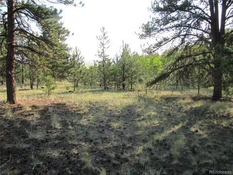 9736 Ranch Rd, Hartsel, CO 80449