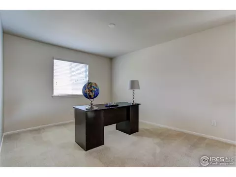 3384 E 141st Ave, Thornton, CO 80602 photo 28
