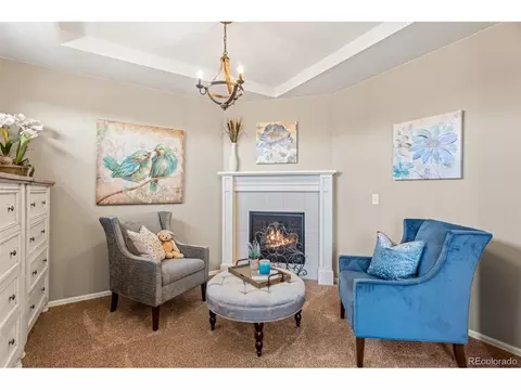 8506 Rogers Loop, Arvada, CO 80007 photo 21