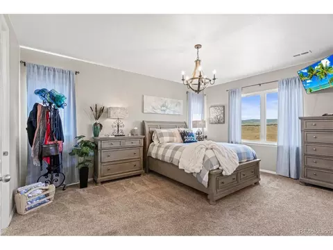 8506 Rogers Loop, Arvada, CO 80007 photo 19