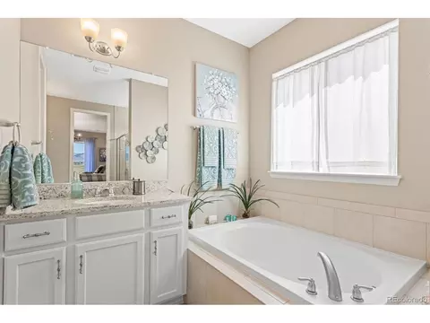 8506 Rogers Loop, Arvada, CO 80007 photo 23