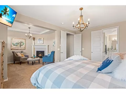 8506 Rogers Loop, Arvada, CO 80007 photo 20