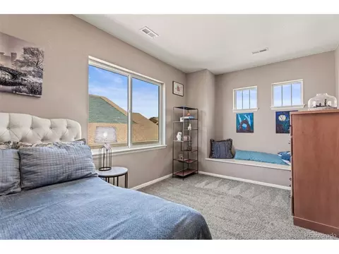 8506 Rogers Loop, Arvada, CO 80007 photo 24
