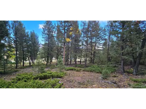 54 Garnet Ln, Pine, CO 80470 photo 7