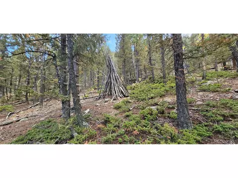 54 Garnet Ln, Pine, CO 80470 photo 17