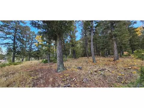 54 Garnet Ln, Pine, CO 80470 photo 11