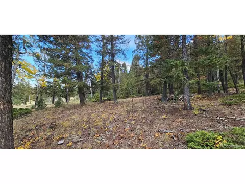 54 Garnet Ln, Pine, CO 80470 photo 13