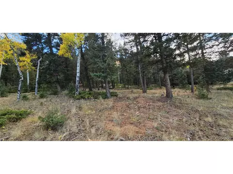 54 Garnet Ln, Pine, CO 80470 photo 8