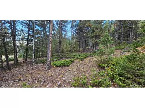 54 Garnet Ln, Pine, CO 80470 photo 20