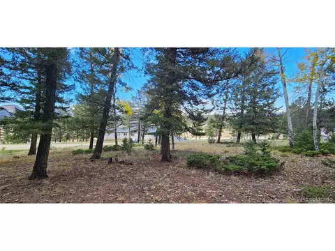 54 Garnet Ln, Pine, CO 80470 photo 15