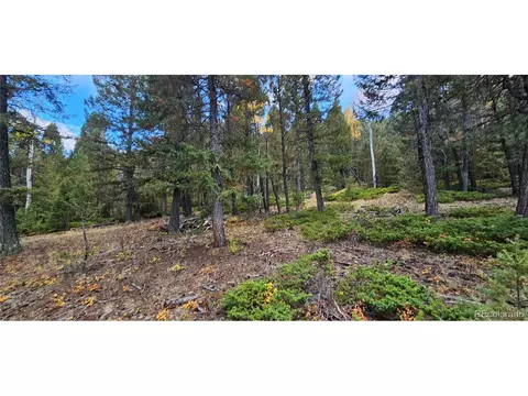 54 Garnet Ln, Pine, CO 80470 photo 12