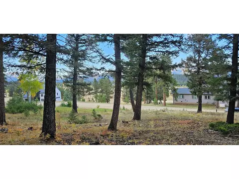 54 Garnet Ln, Pine, CO 80470 photo 10