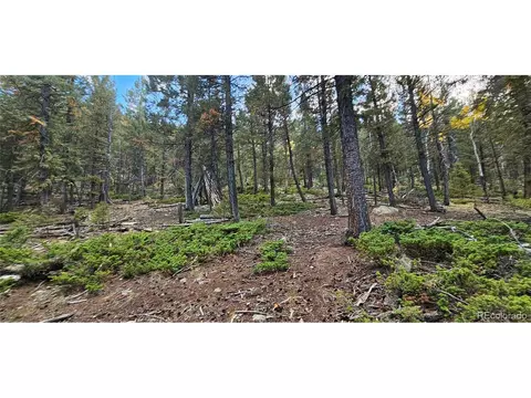 54 Garnet Ln, Pine, CO 80470 photo 16