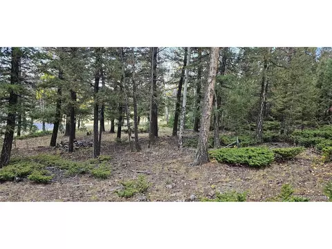 54 Garnet Ln, Pine, CO 80470 photo 19