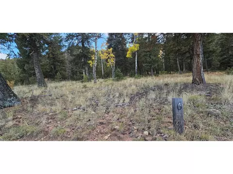 54 Garnet Ln, Pine, CO 80470
