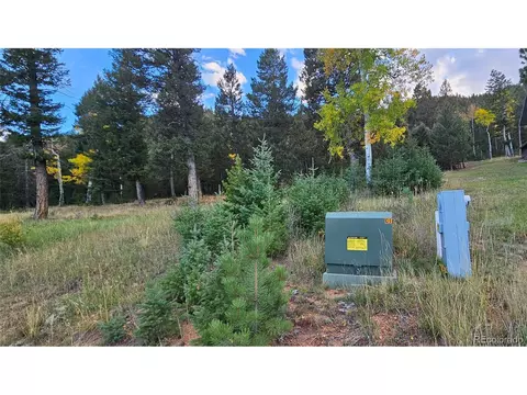54 Garnet Ln, Pine, CO 80470 photo 2