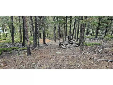 54 Garnet Ln, Pine, CO 80470 photo 18