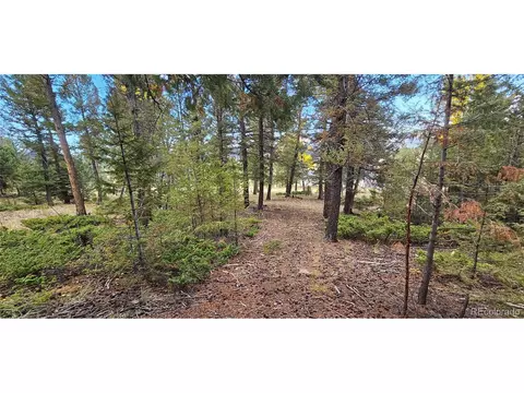 54 Garnet Ln, Pine, CO 80470 photo 9