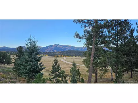 54 Garnet Ln, Pine, CO 80470 photo 3