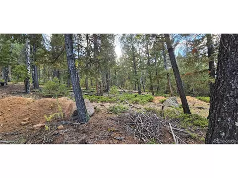 54 Garnet Ln, Pine, CO 80470 photo 14