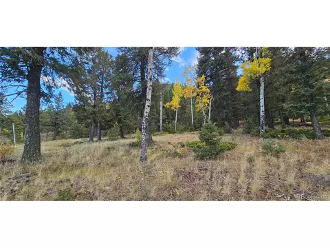 54 Garnet Ln, Pine, CO 80470 photo 4
