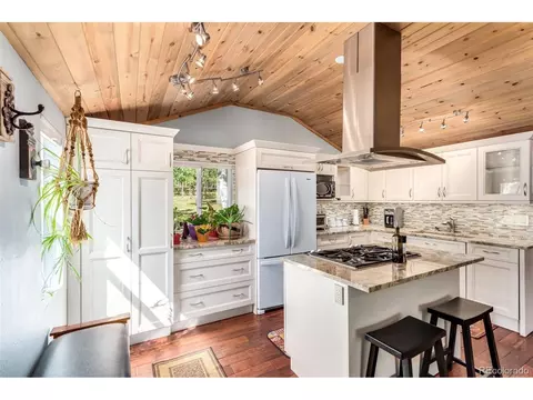 141 Schooley Rd, Bailey, CO 80421 photo 7