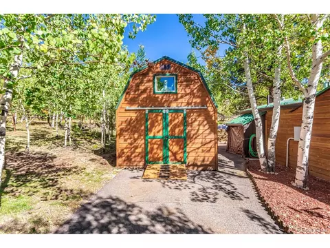 141 Schooley Rd, Bailey, CO 80421 photo 11