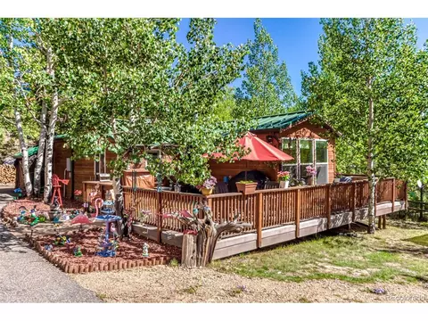 141 Schooley Rd, Bailey, CO 80421 photo 3
