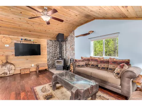 141 Schooley Rd, Bailey, CO 80421 photo 8