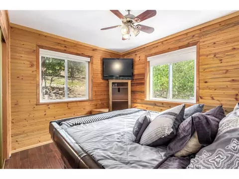 141 Schooley Rd, Bailey, CO 80421 photo 15