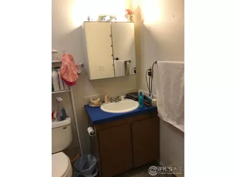 4309 Flag Dr, Laporte, CO 80535 photo 12