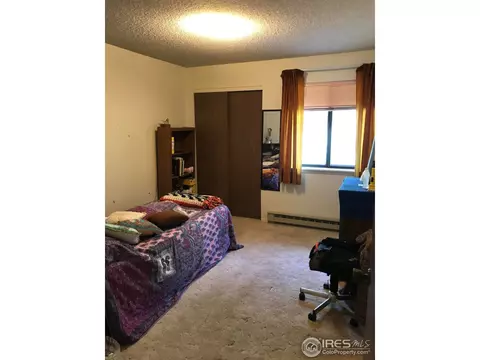 4309 Flag Dr, Laporte, CO 80535 photo 13
