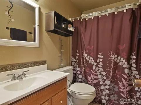 4809 Gary Dr, Berthoud, CO 80513 photo 16