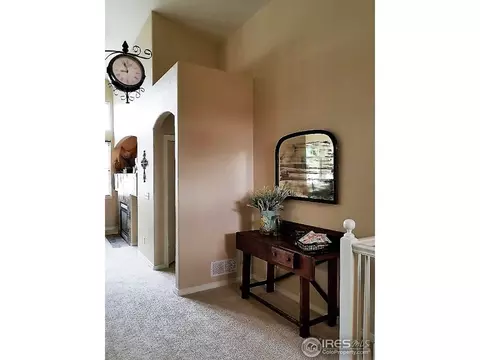 234 Cattail Bay, Windsor, CO 80550 photo 6