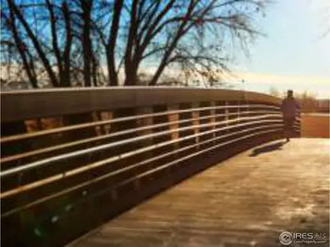234 Cattail Bay, Windsor, CO 80550 photo 36