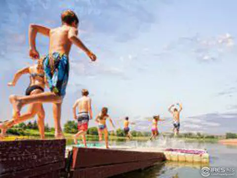 234 Cattail Bay, Windsor, CO 80550 photo 37