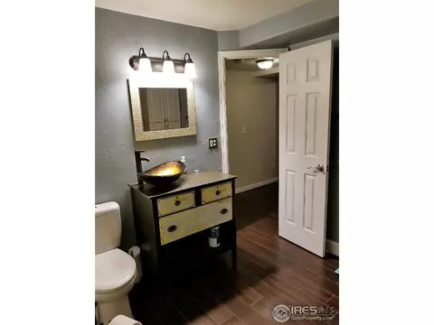 234 Cattail Bay, Windsor, CO 80550 photo 24